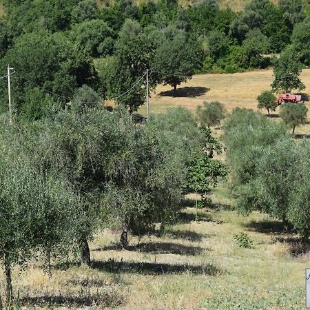 Nonnogennaro Βίλα Matonti Εξωτερικό φωτογραφία