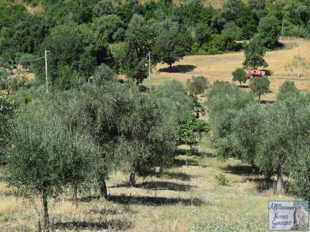 Nonnogennaro Βίλα Matonti Εξωτερικό φωτογραφία